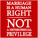 Marriage Is A Human Right Shirt